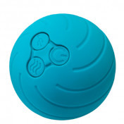 Polaryak Yoggi Ball Massage Ball
